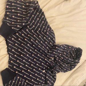 Champion reverse Weave Diagonal Script Logo Hoodie